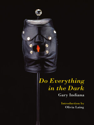 cover image of Do Everything in the Dark